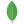 MongoDB